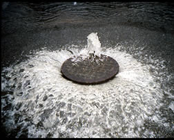 Sewer