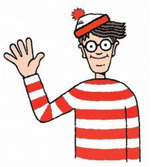 Wally 225