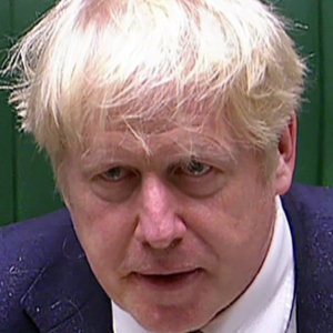 Boris Hair Square 300