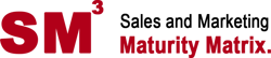 Sales and Marketing Maturity Matrix